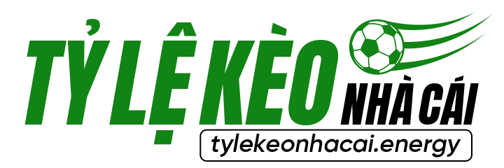 tylekeonhacai.energy