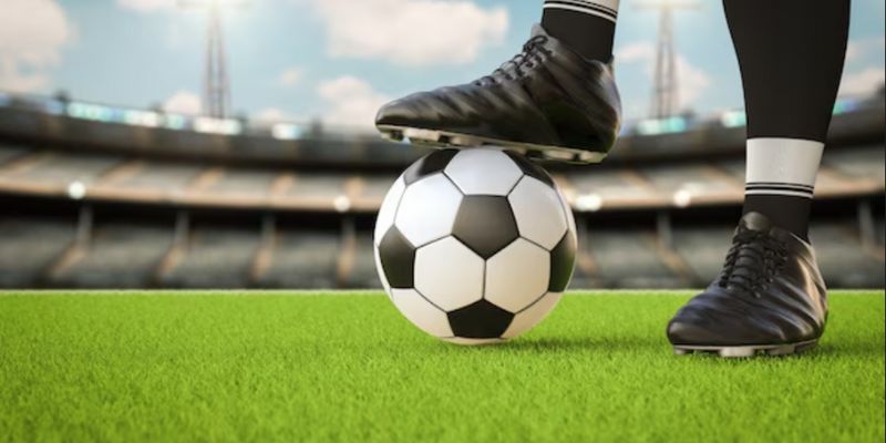 Dữ liệu phân tích chuyên sâu hỗ trợ quyết định cược