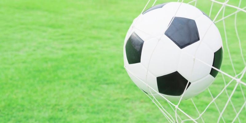 Kinh nghiệm vàng giúp bet thủ thắng lớn