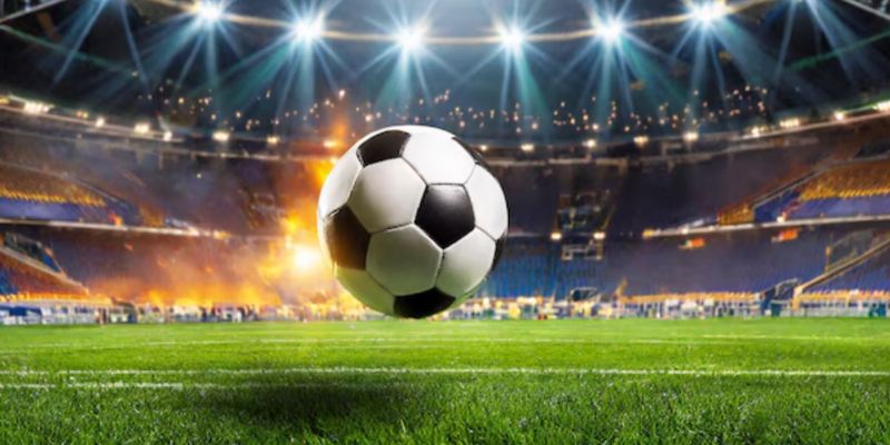 Theo dõi trận đấu và xuống tiền chuẩn