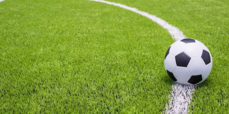 Phân tích dữ liệu để chơi kèo rung chuẩn