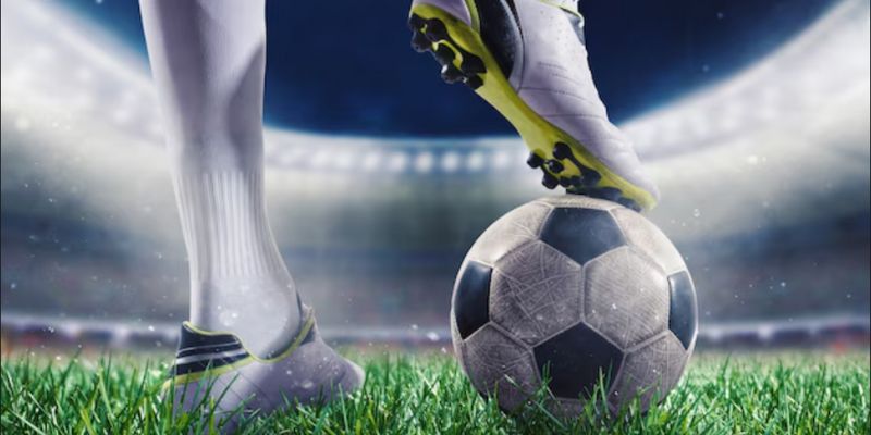 Sống bằng nghề cá độ yêu cầu sự kỷ luật