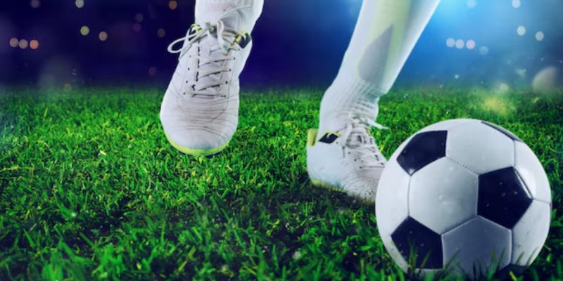 Tìm hiểu kỹ trước khi sống bằng nghề cá độ