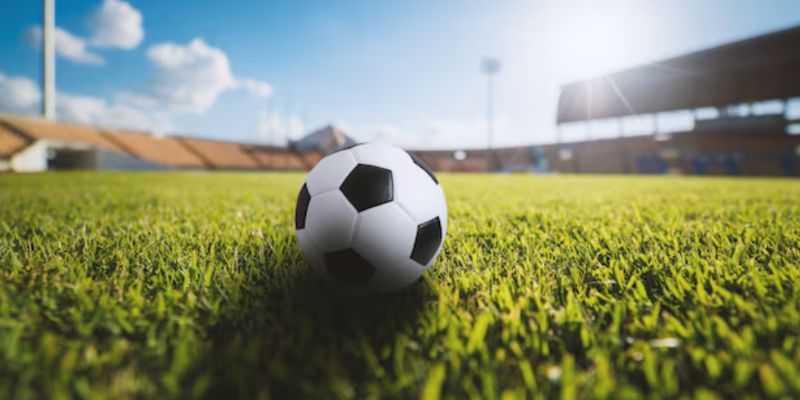 Kho tàng giải đấu tầm cỡ đang chờ đón